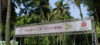 Biquinha de Anchieta